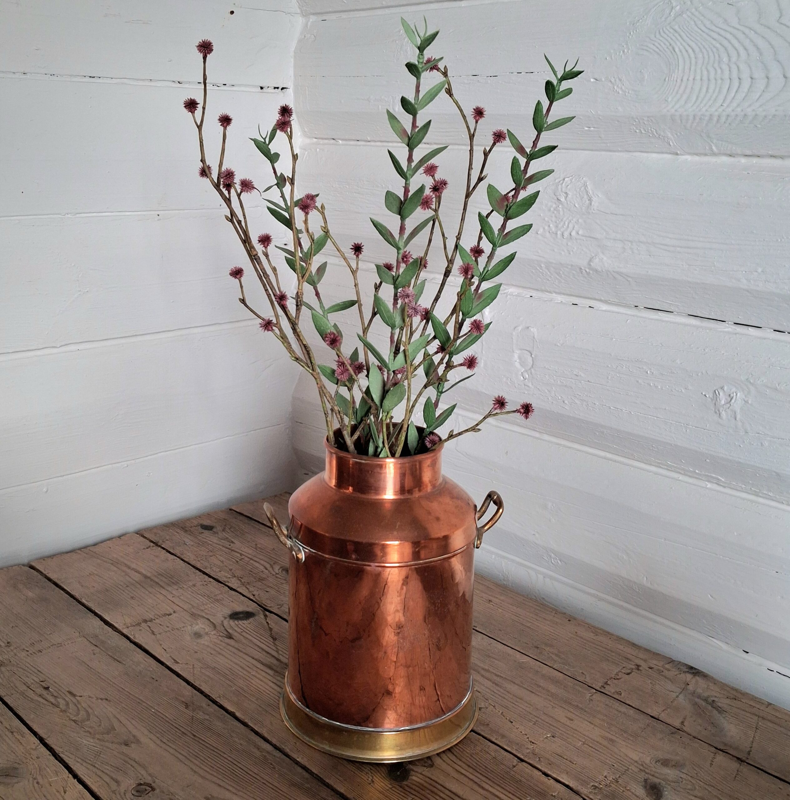 Kobber junge med smukke grene