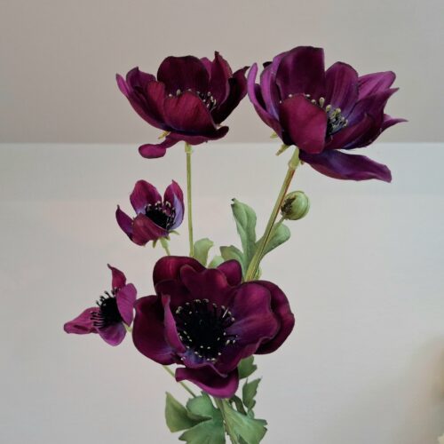 Anemone mørk lilla stor flergrenet