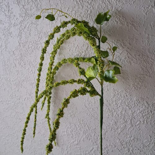 Grøn Rævehale gren med lange rakler – flergrenet og flot