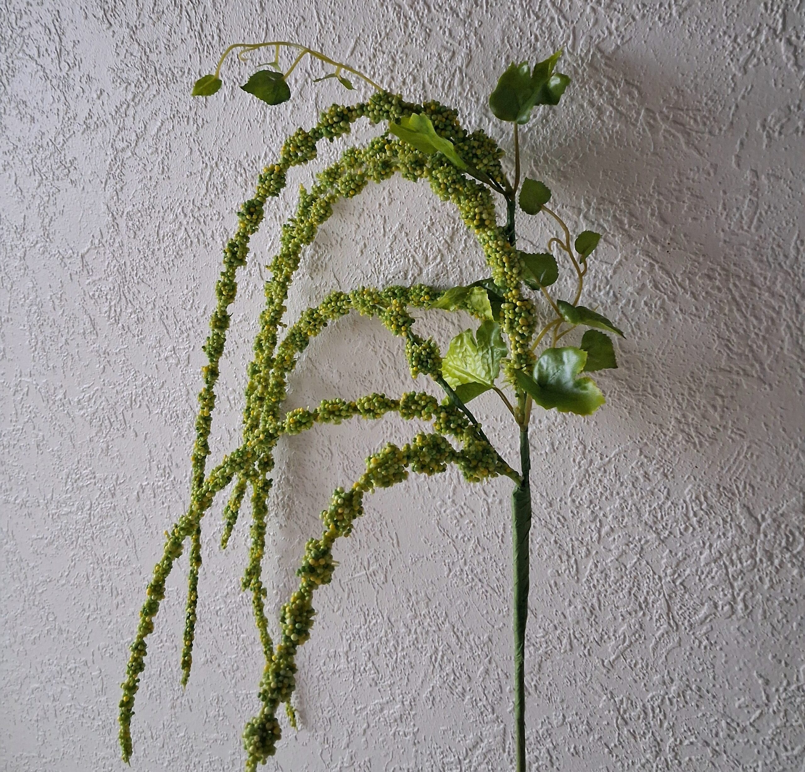 Grøn Rævehale gren med lange rakler