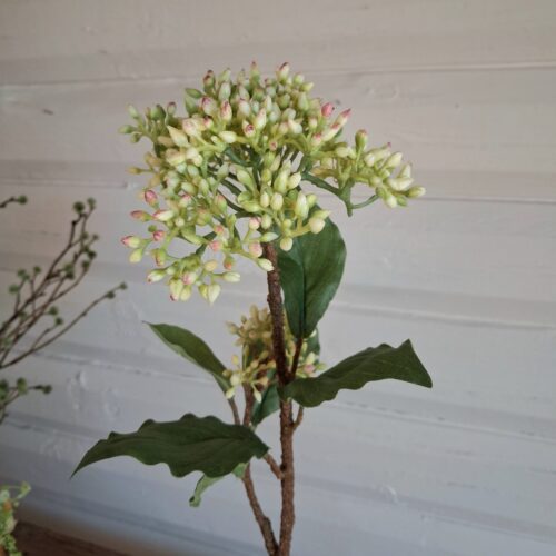 Bærgren i smuk lys gul farve