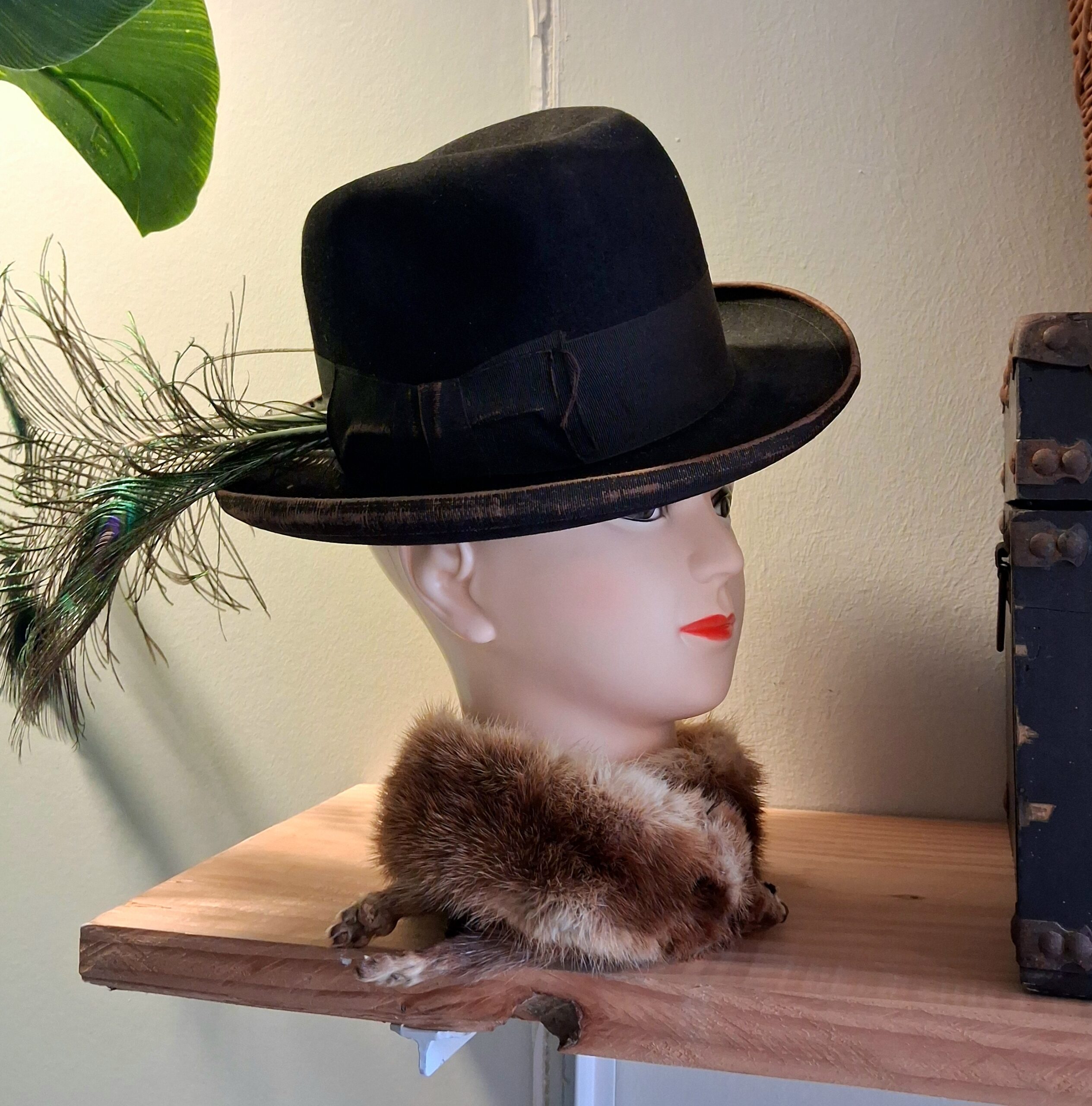 Fint paryk hoved med elegant udtryk