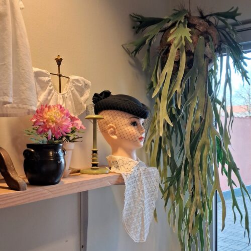 Fint paryk hoved / hattehoved med elegant udtryk