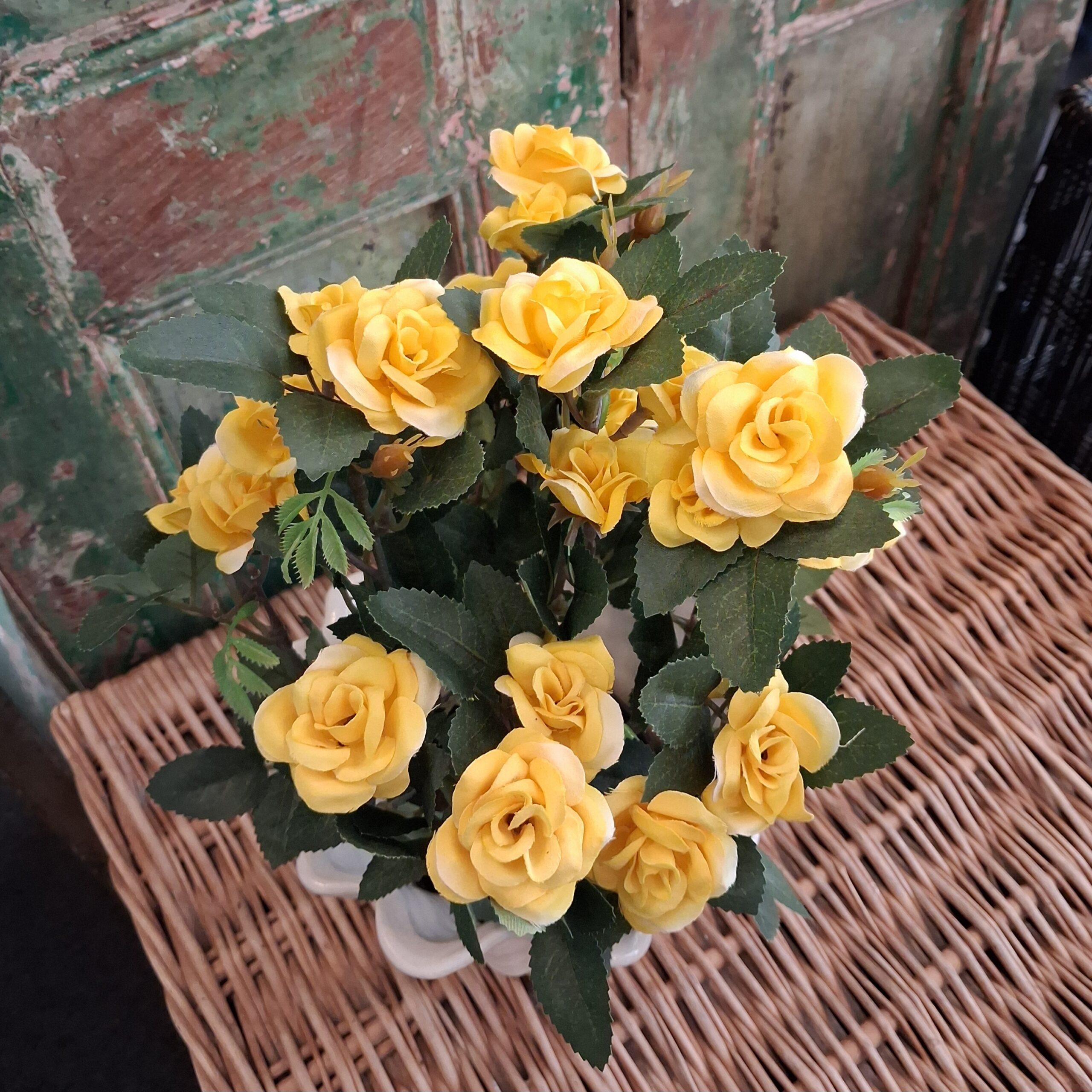 Fin gul Rose i potte