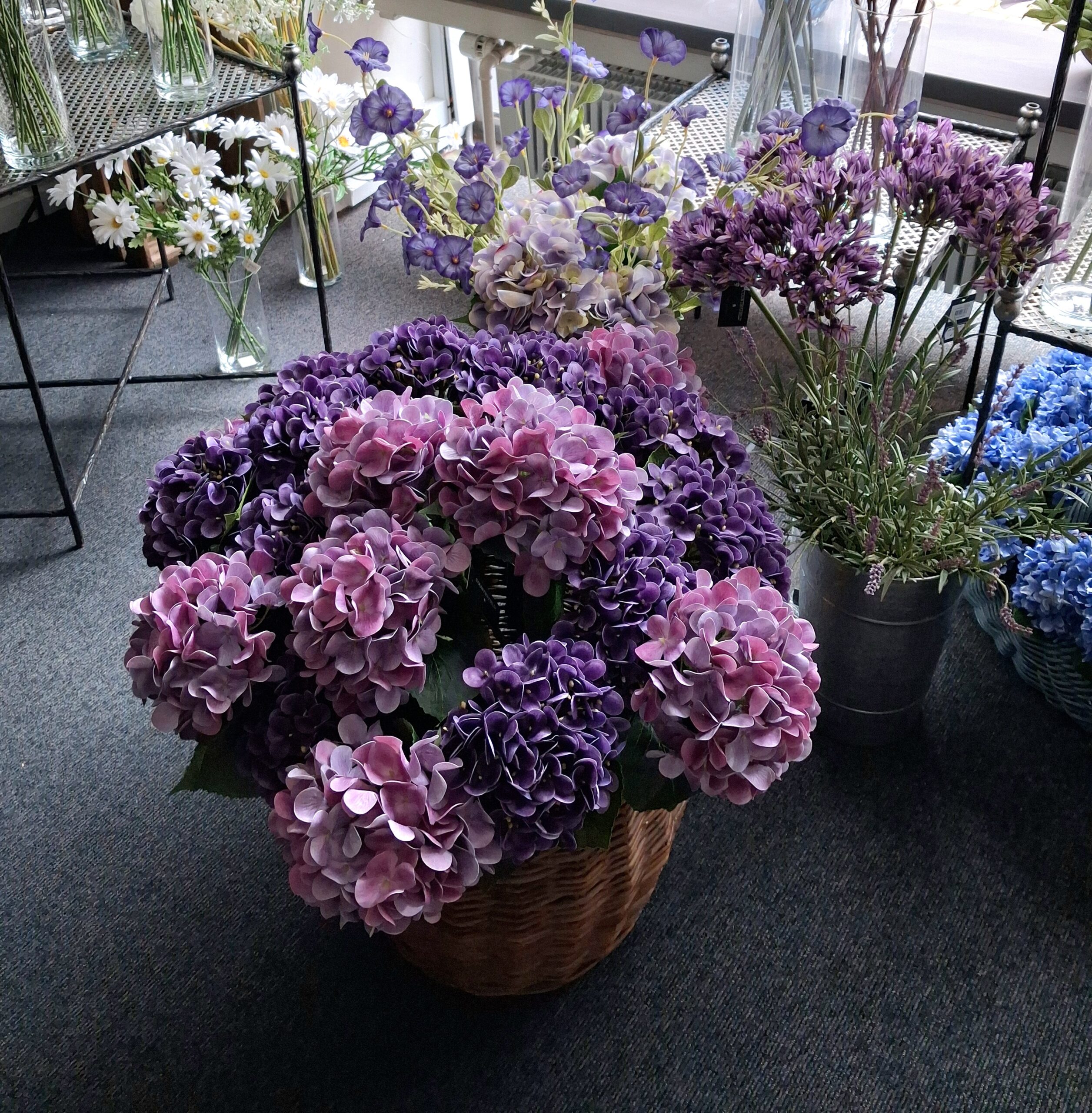 Smukke store Hortensia