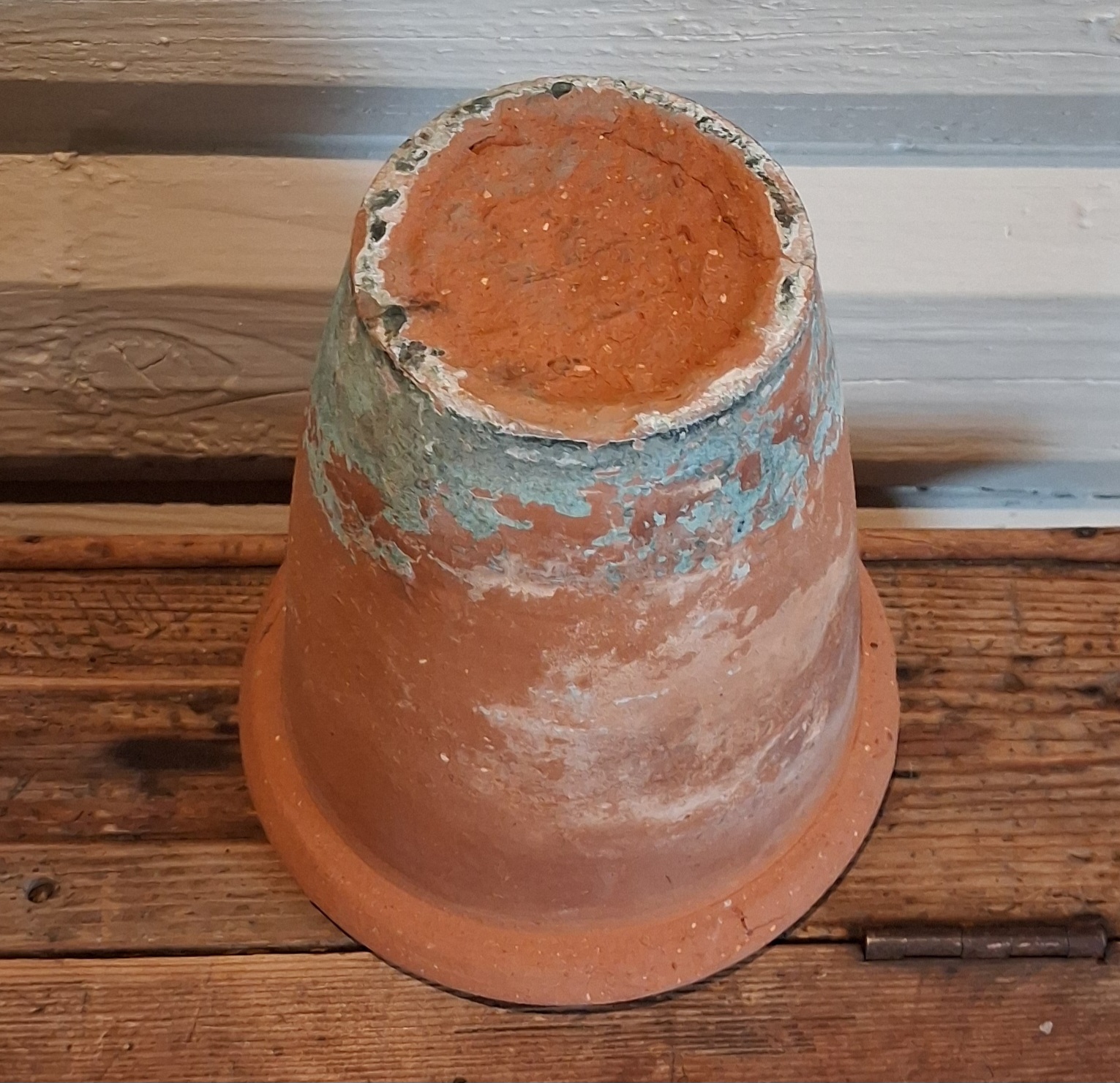 Stor urtepotte