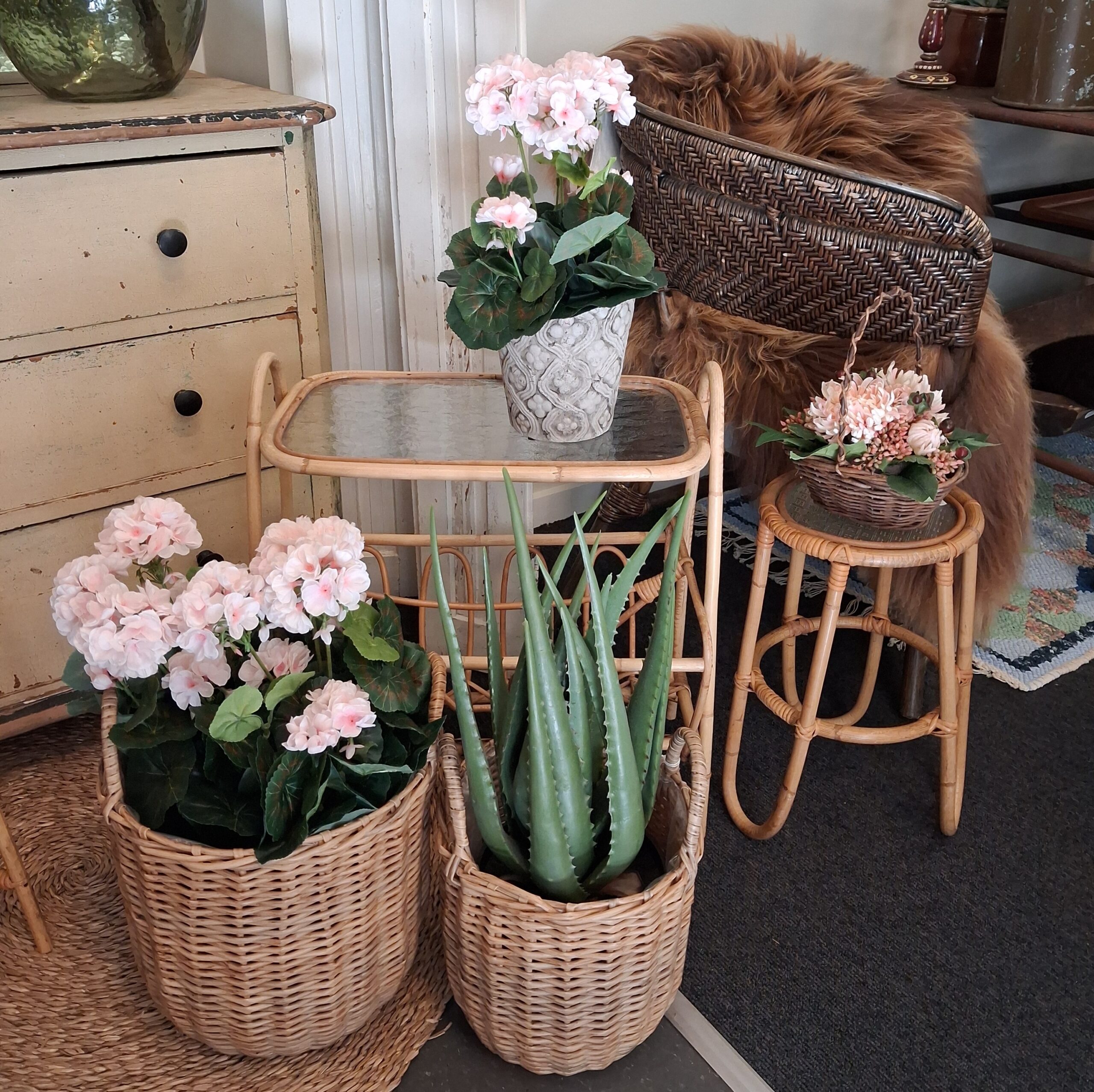 Skønne blomster og planter