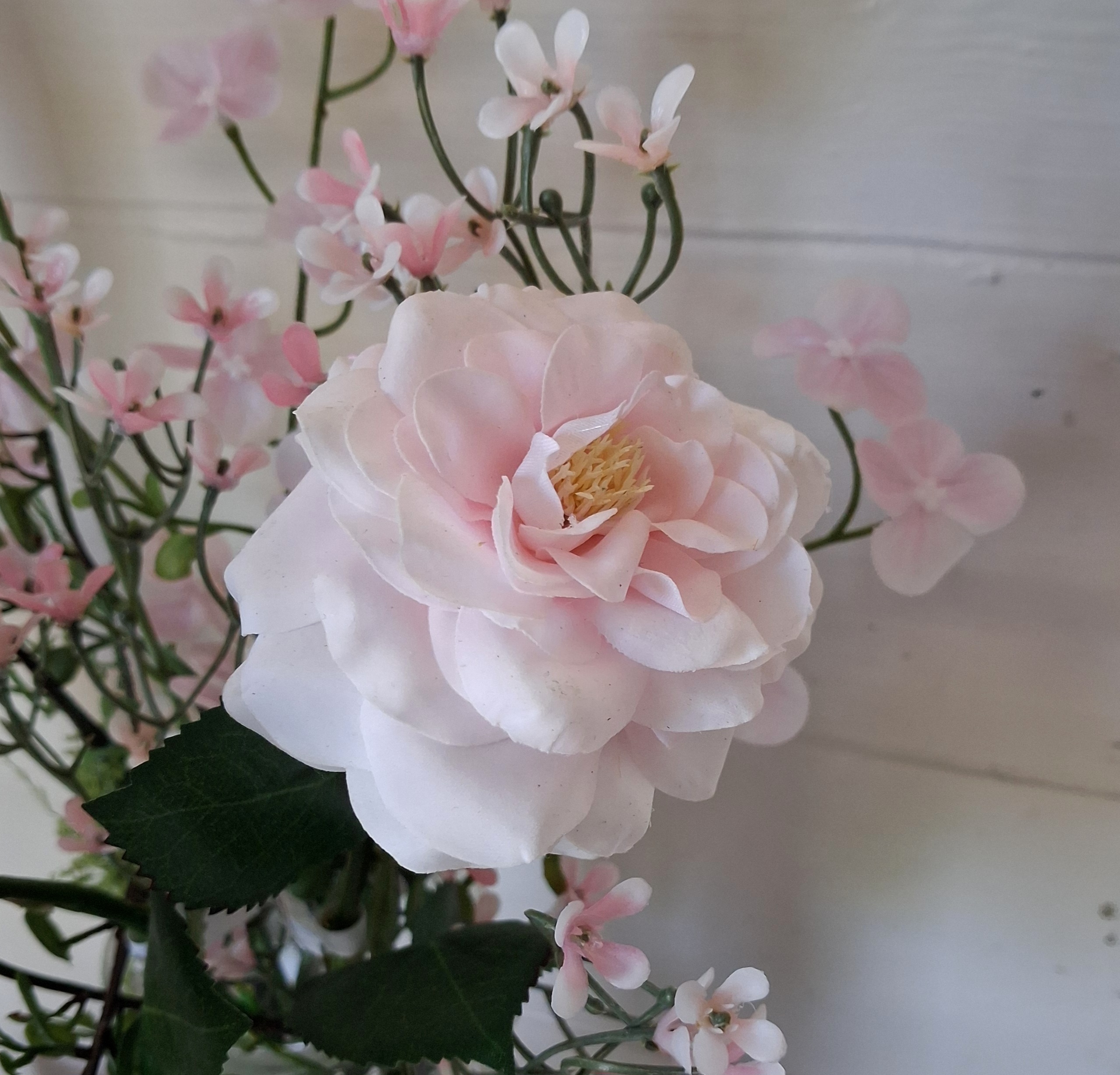 Smuk sart lyserød rose