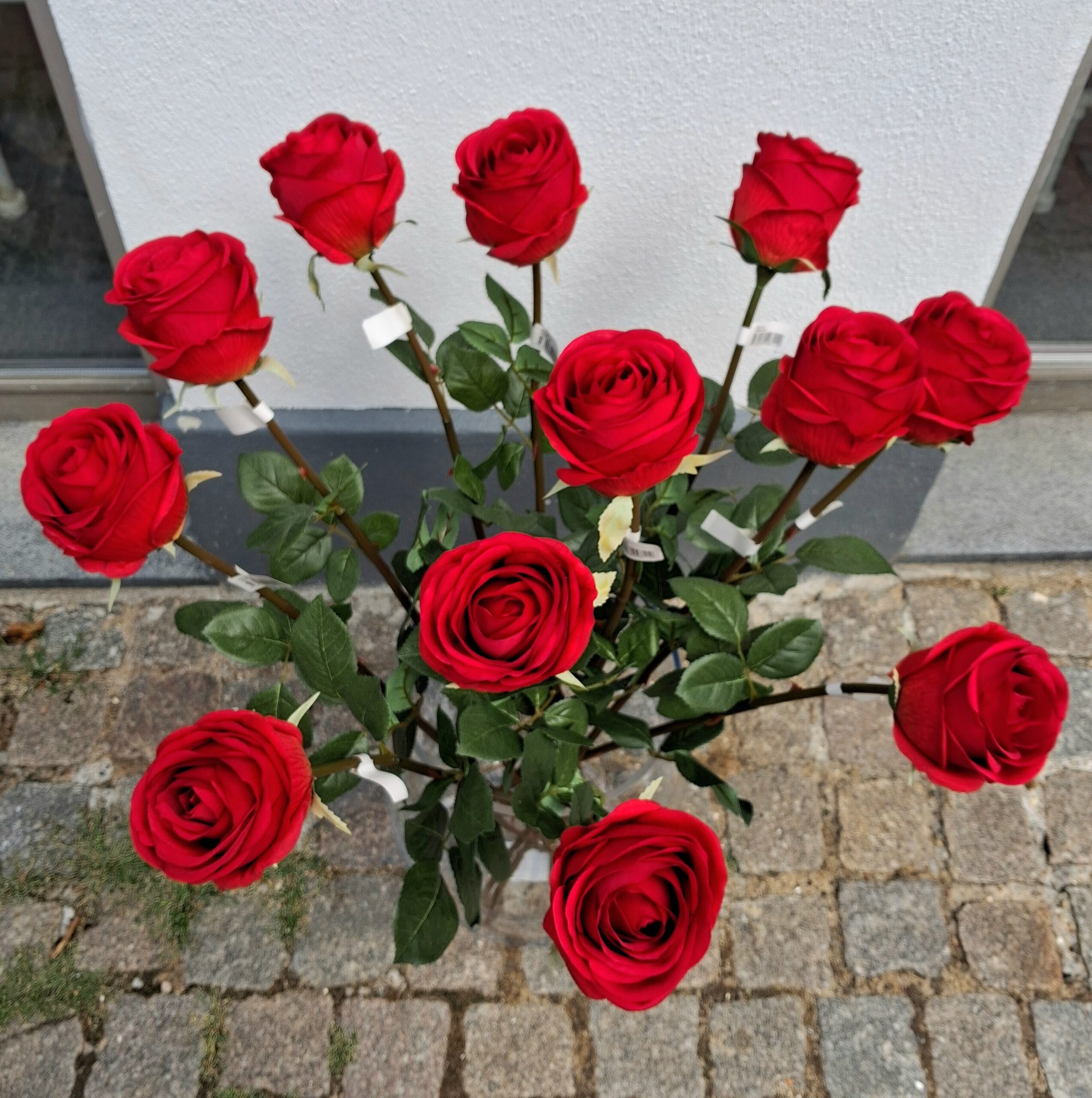Smuk rød Rose 75 cm