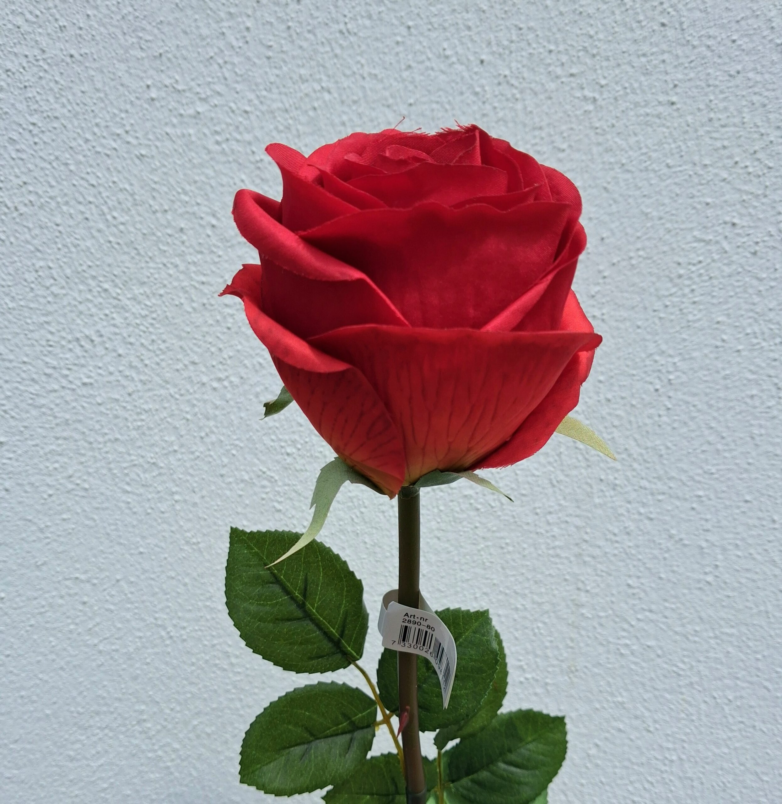 Smuk rød Rose 75 cm