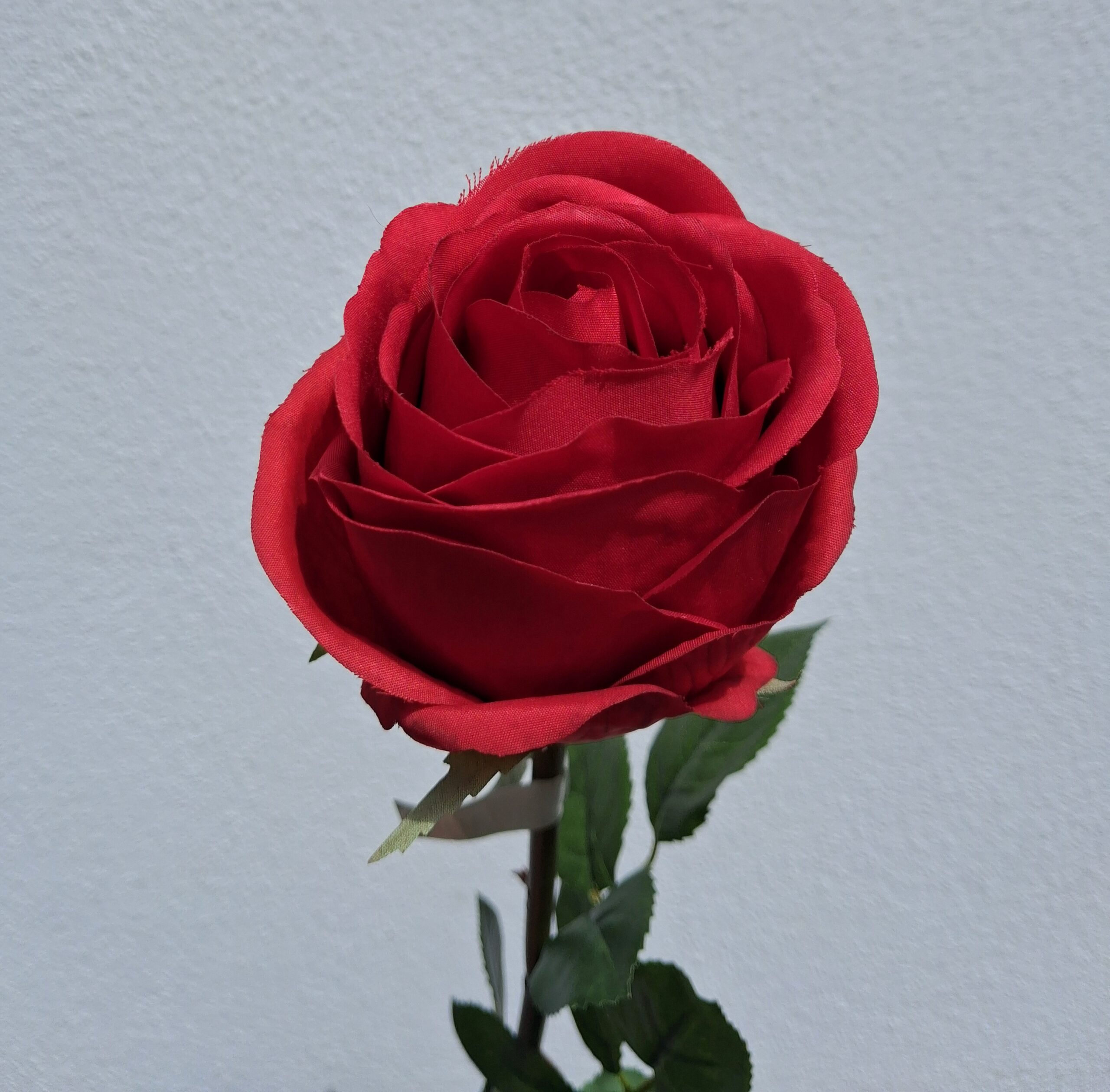 Smuk rød Rose 75 cm