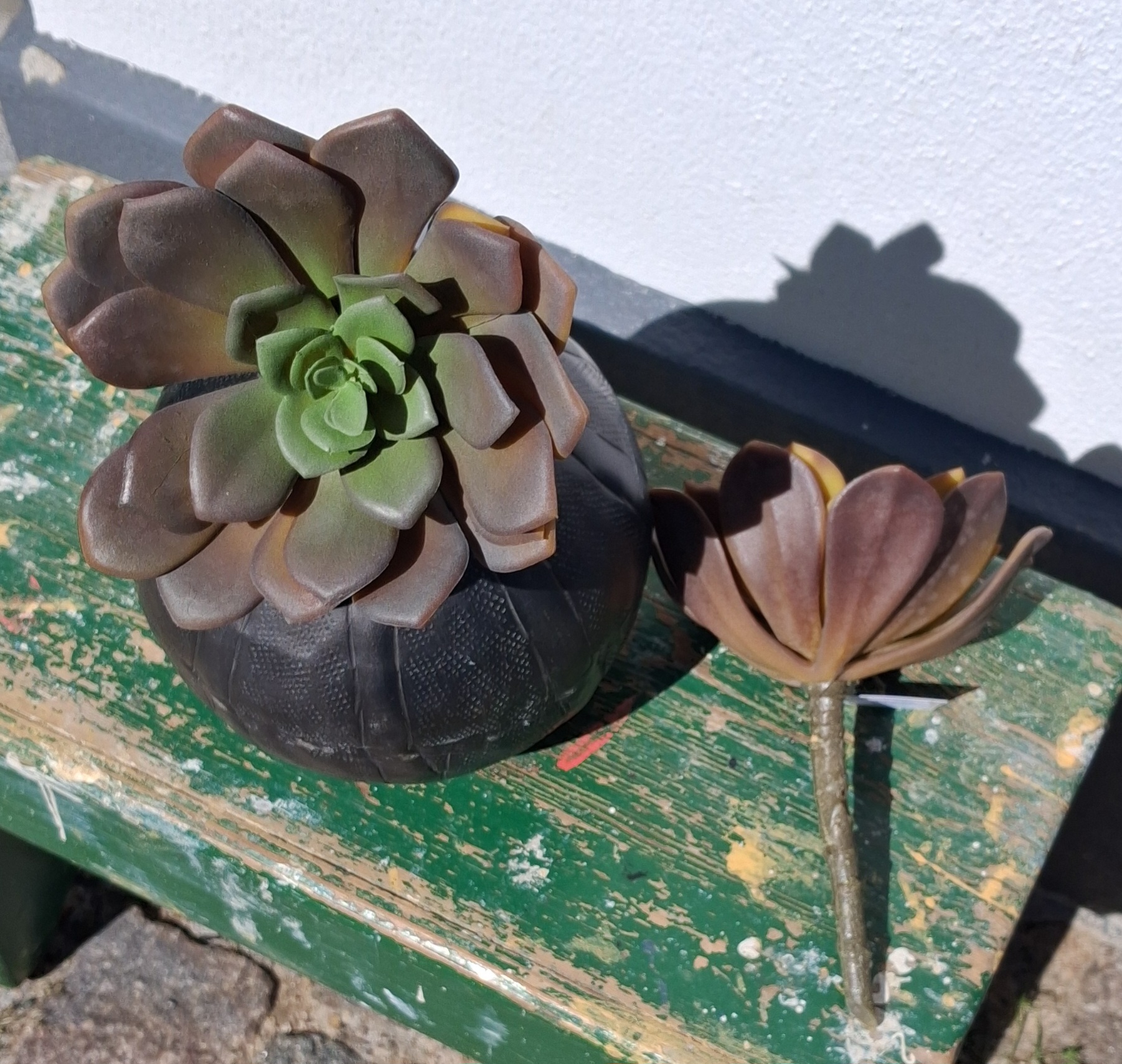 Fin Sukkulent stilk