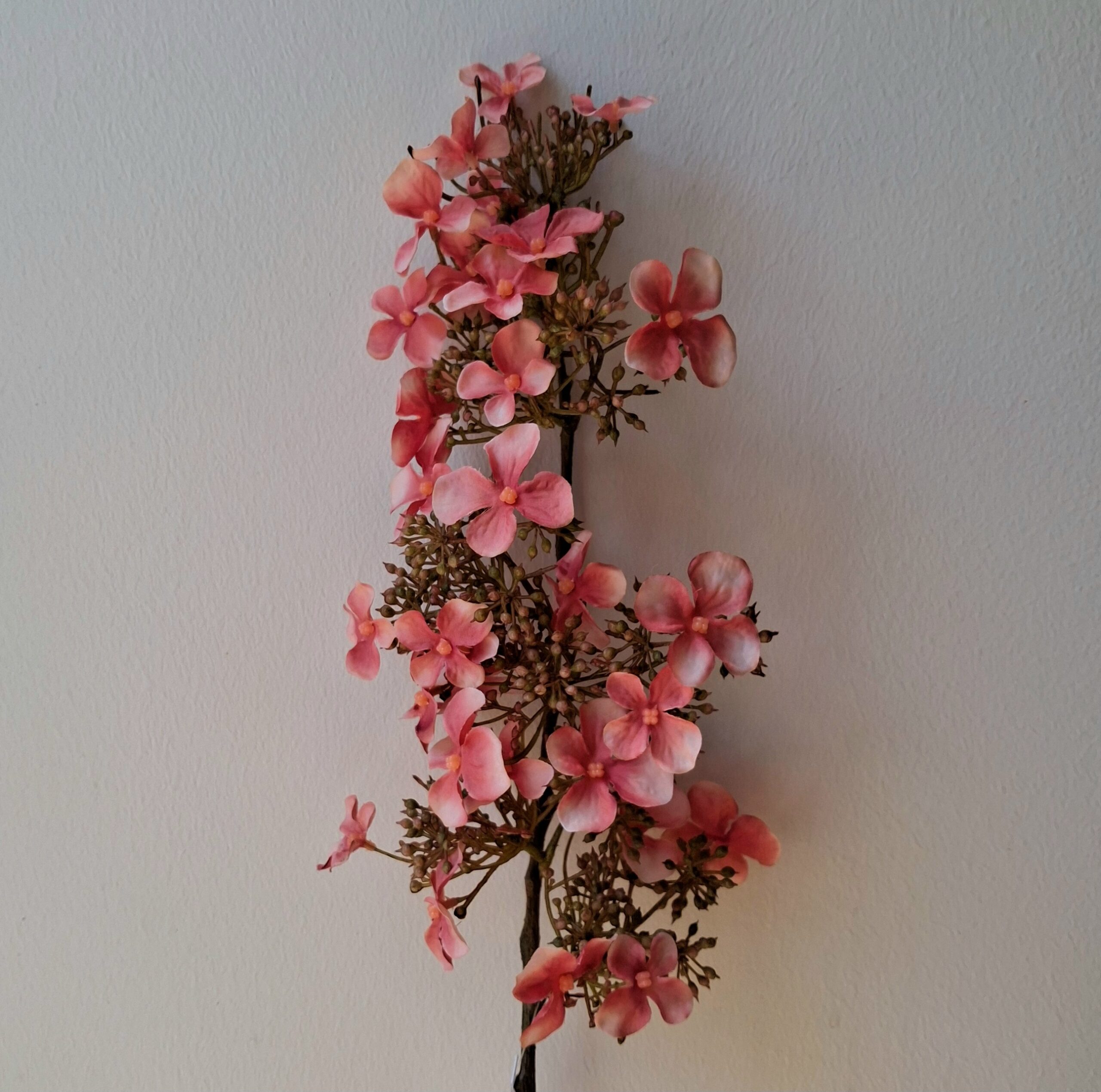 Hortensia gammelrosa med mange små blomster - Billede 3