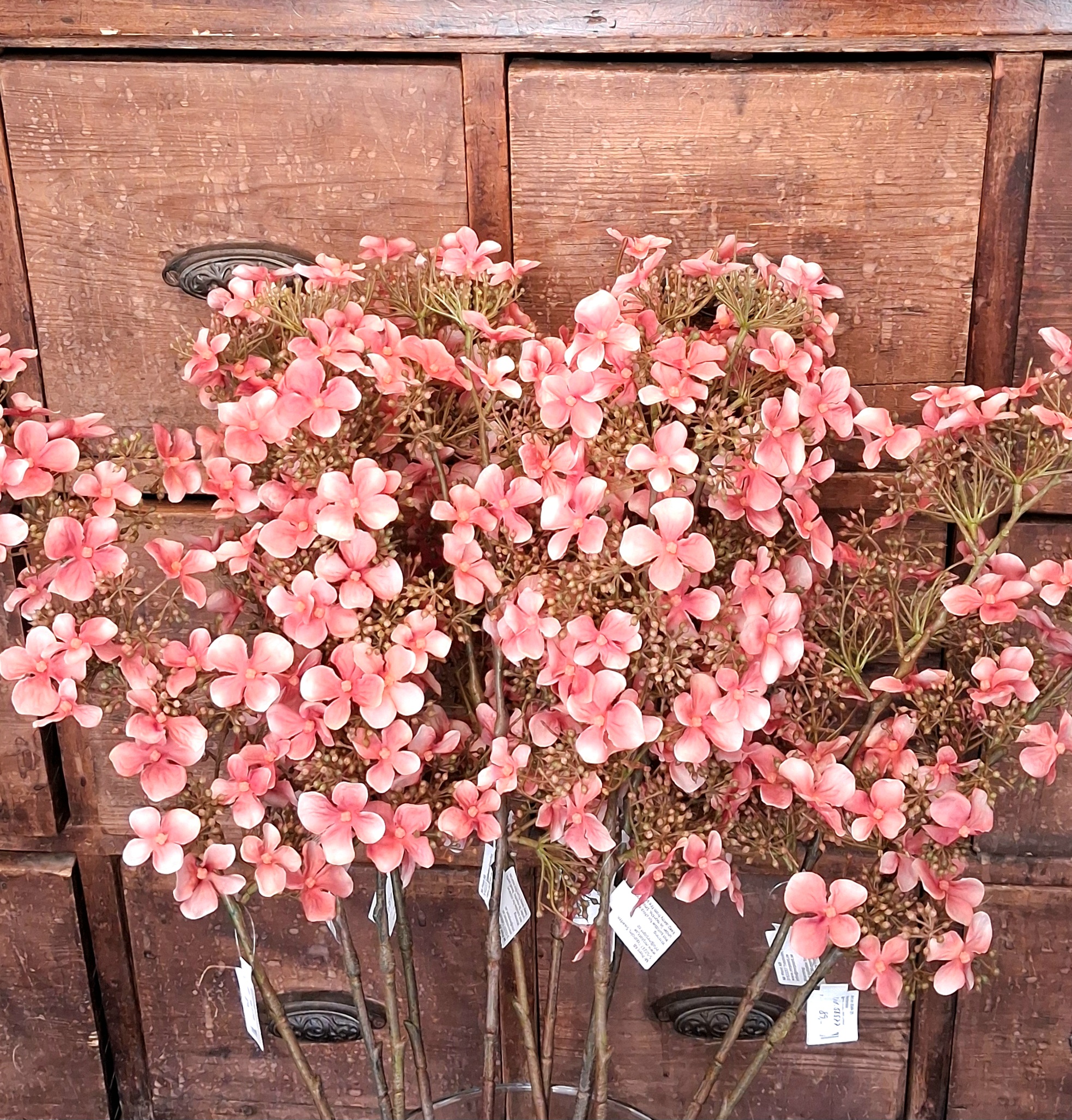 Hortensia gammelrosa med mange små blomster - Billede 2