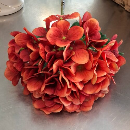 Hortensia brændt orange stilk med fint blomster hoved