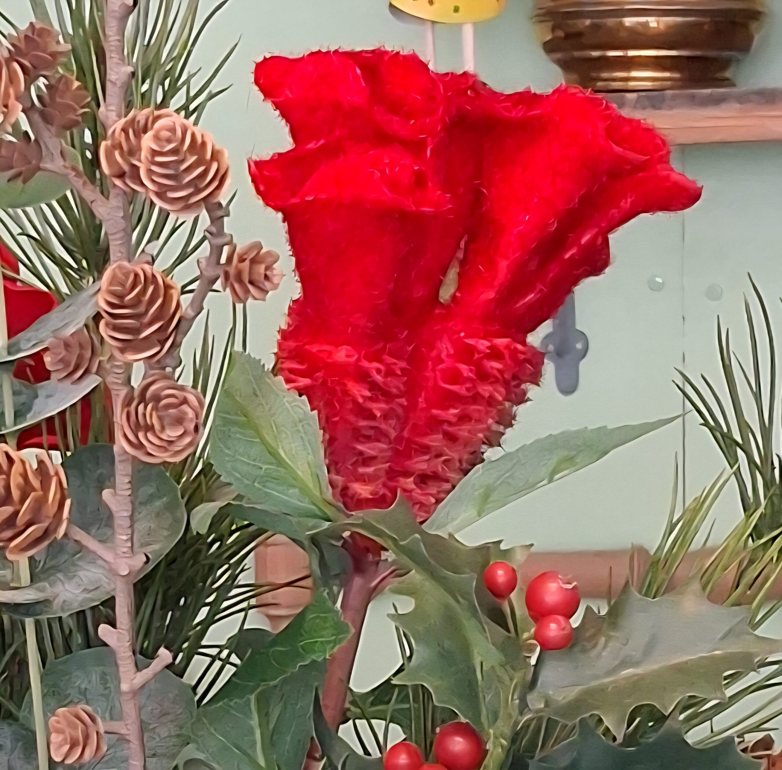 Flot rød "Hanekam" / Celosia