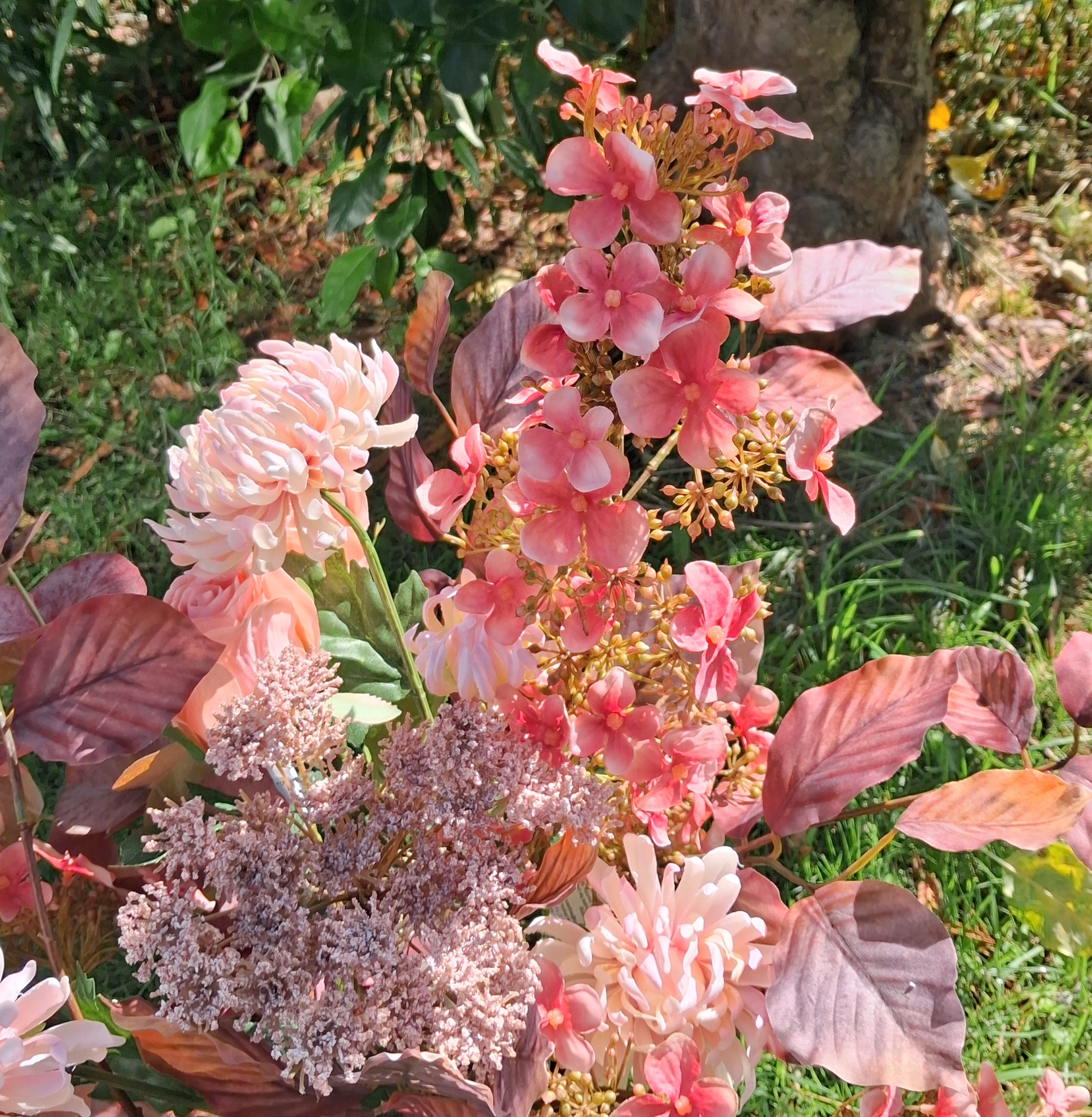 Hortensia
