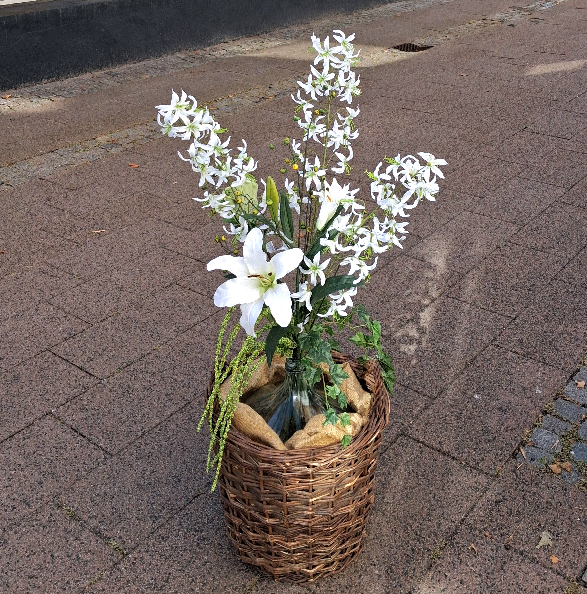 Smuk hvid Steppelilje med stort flot blomster hoved