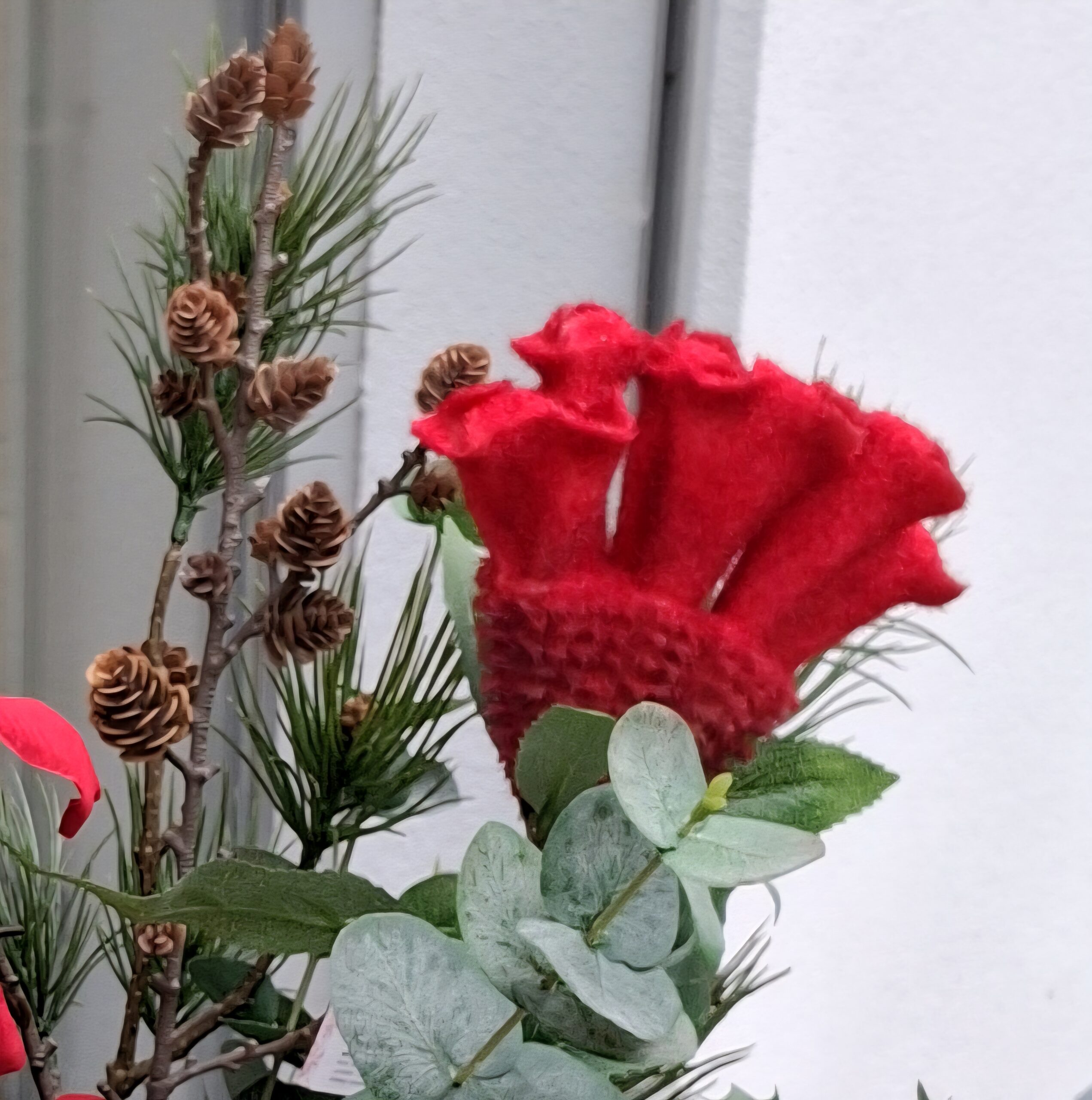 Flot rød "Hanekam" / Celosia
