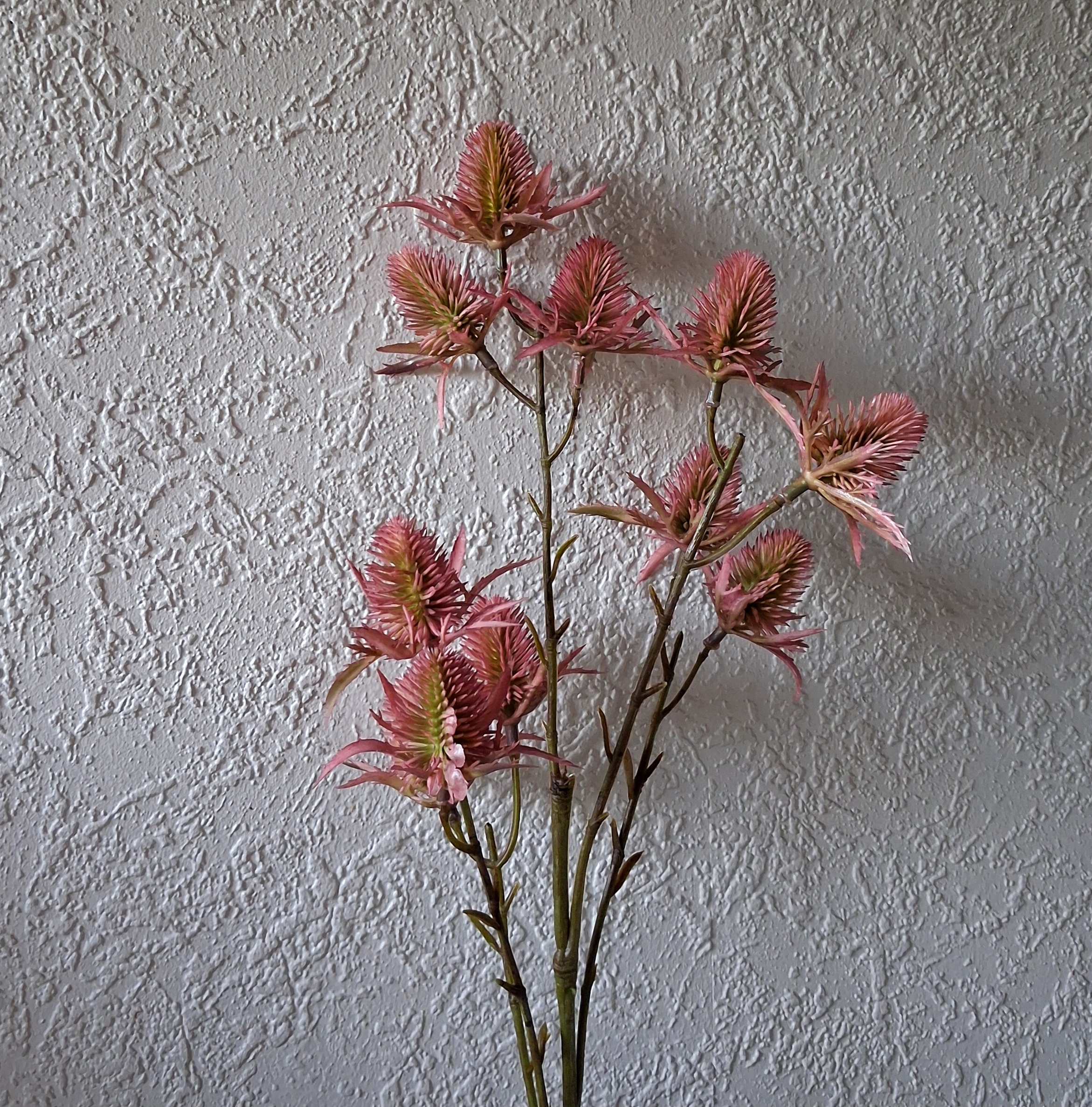 Smuk rustik Tidsel gammelrosa /grøn