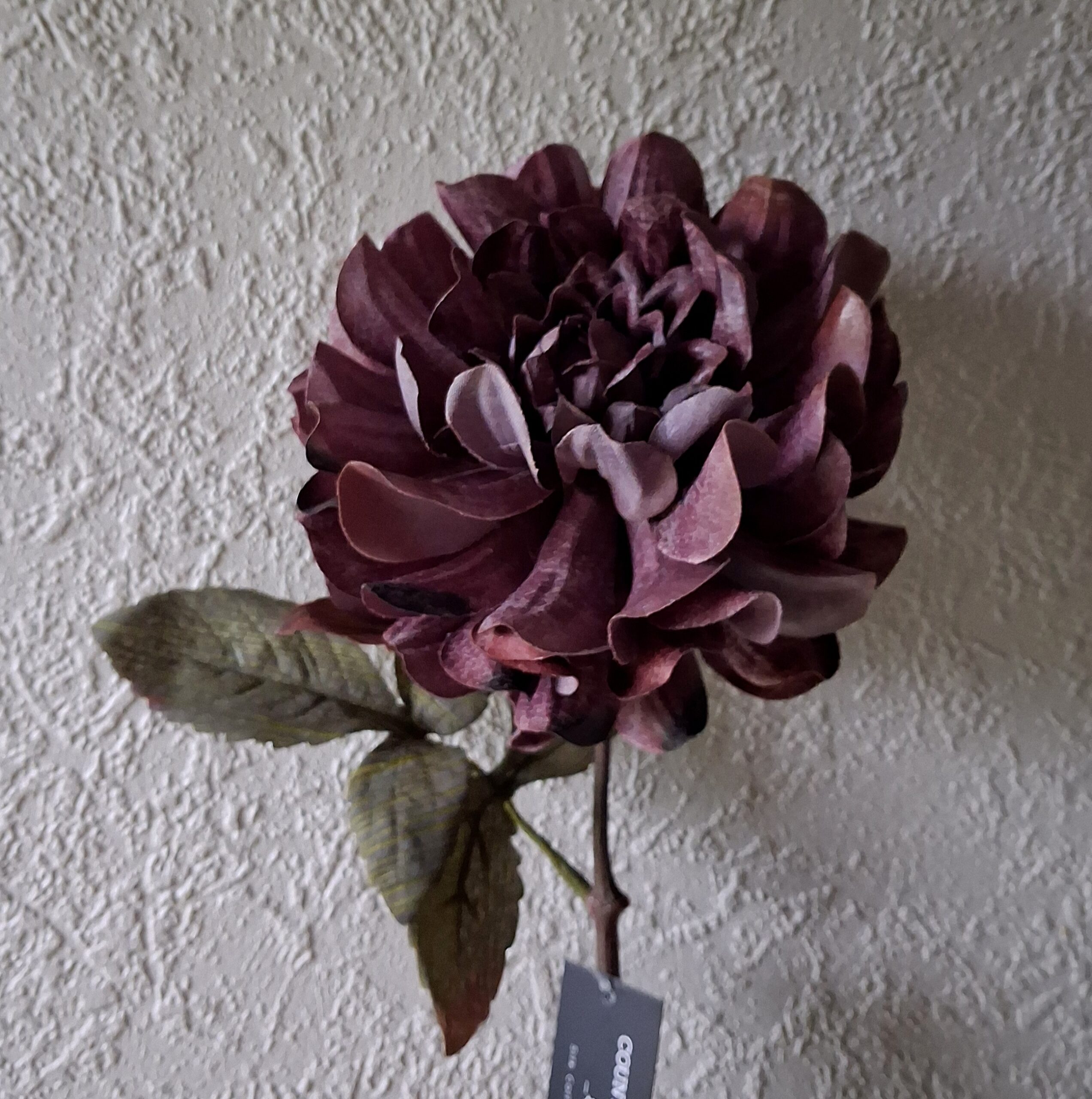 Dahlia mørk lilla - smuk rustik blomsterstilk