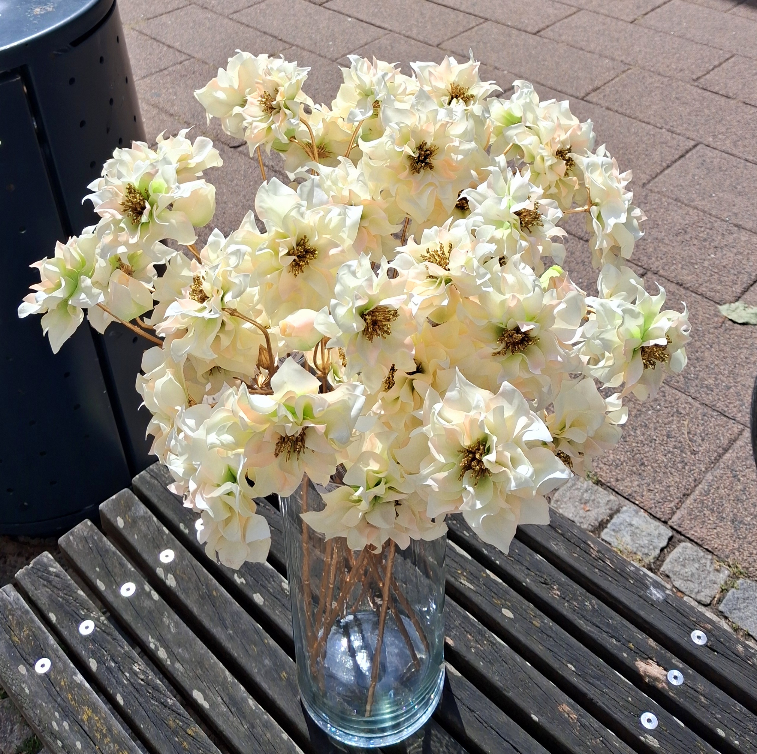 Elegant creme Vinterrose