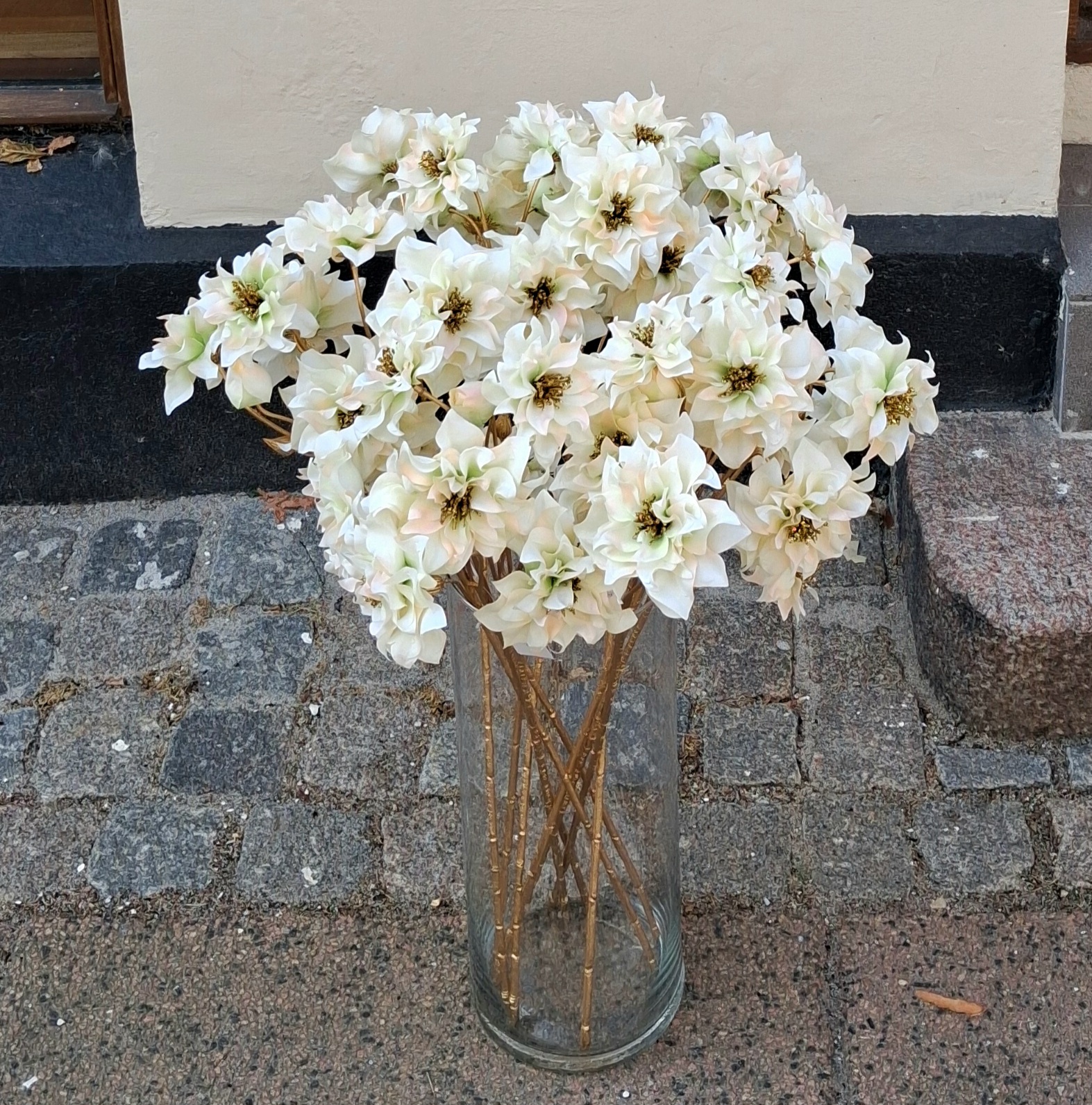 Elegant creme Vinterrose