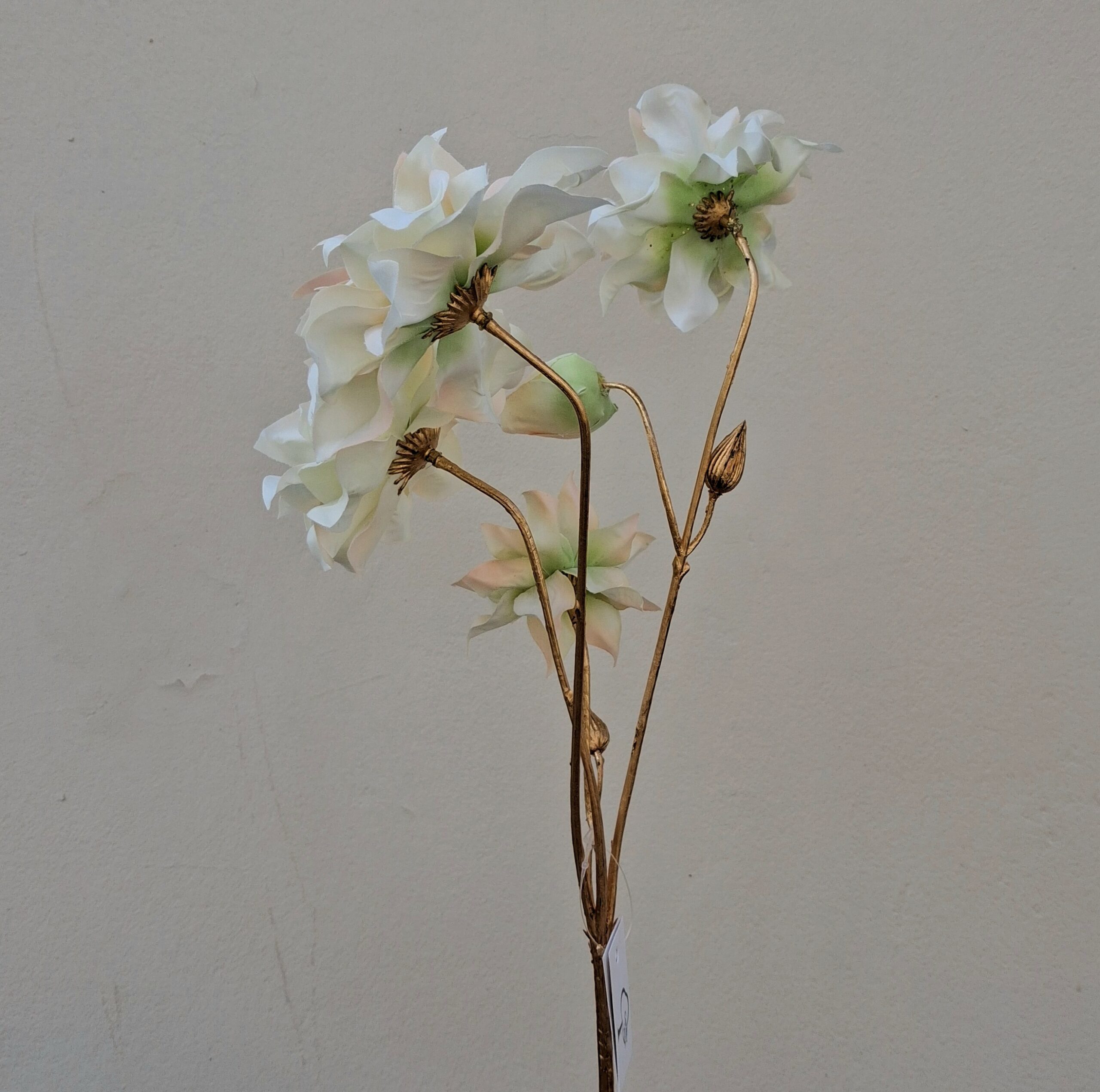 Elegant creme Vinterrose