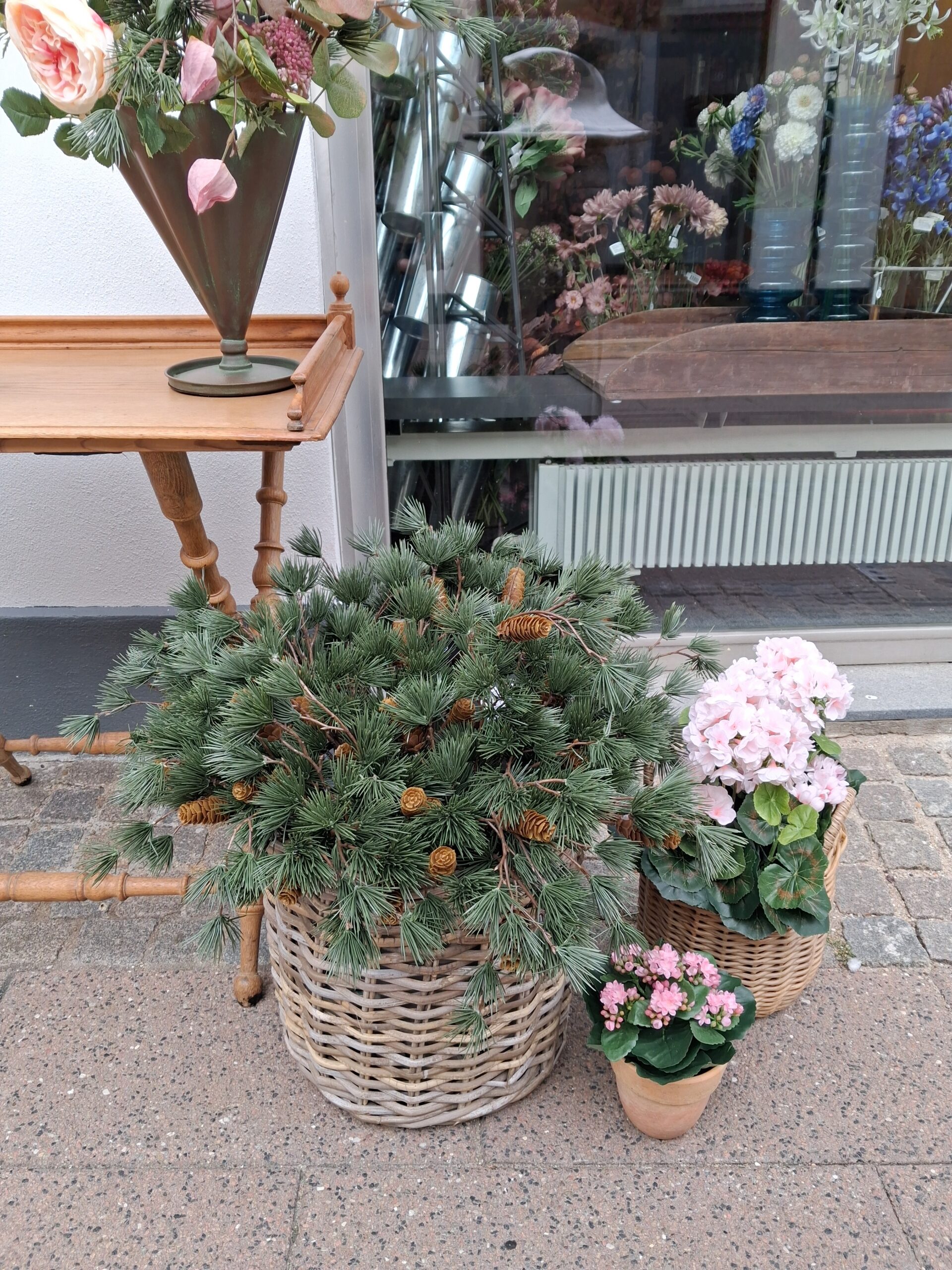 Fine Fyrgrene med kogle