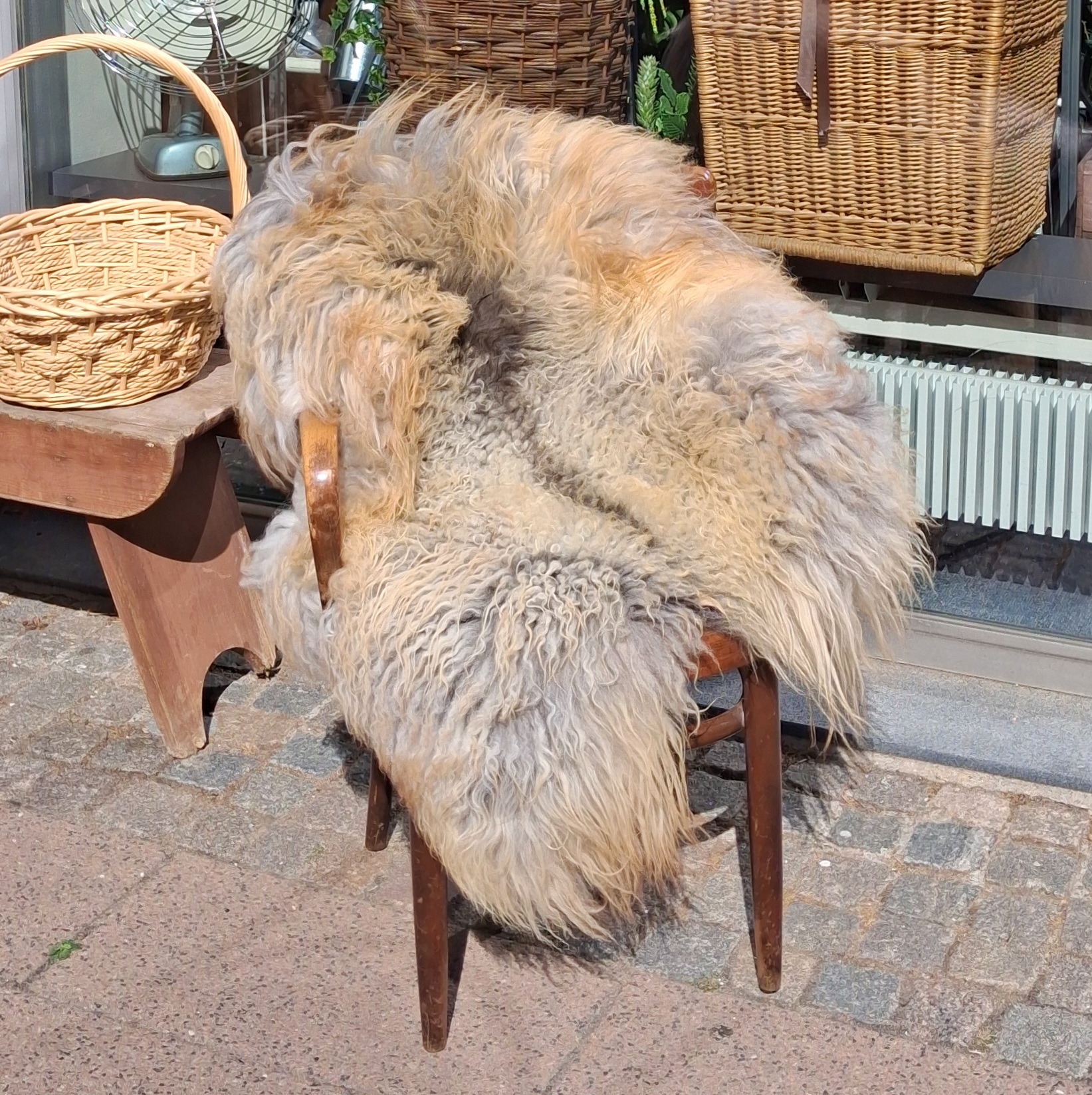 Let krøllet langhåret lammeskind