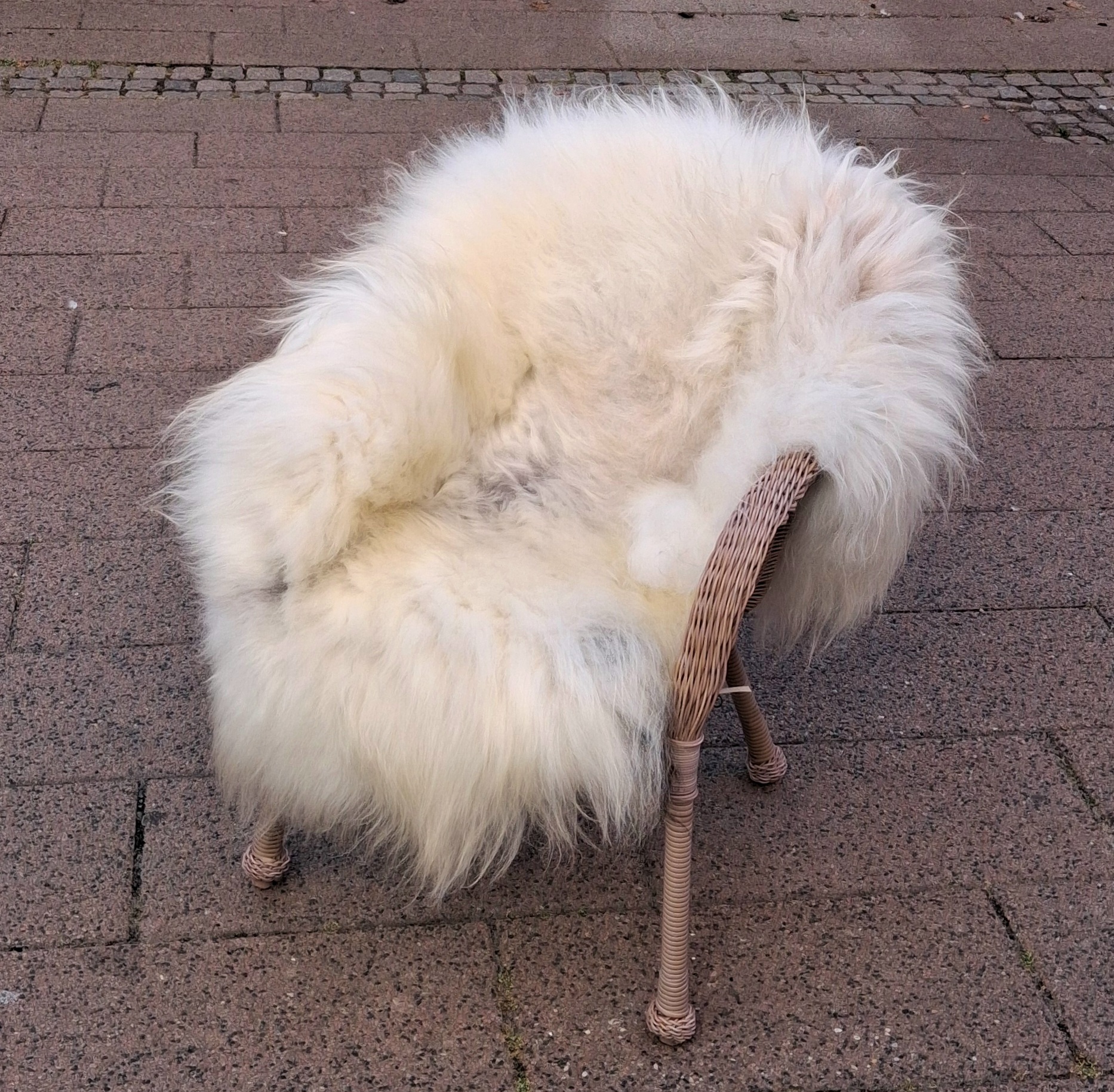 Stort langhåret lammeskind
