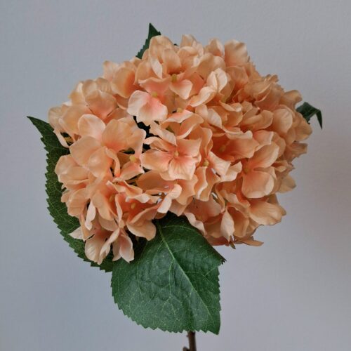 Kunstig fersken Hortensia i fineste nuance
