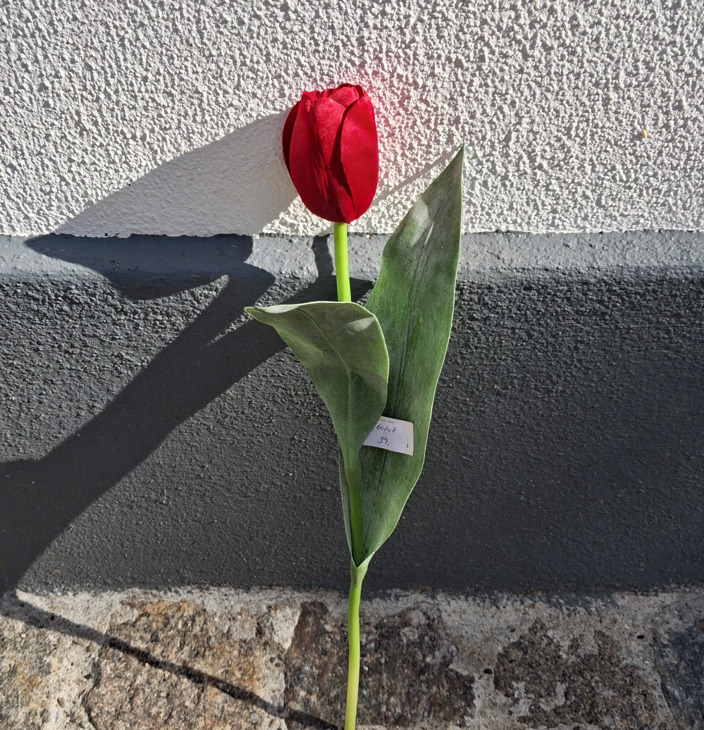 Smuk kunstig rød Tulipan
