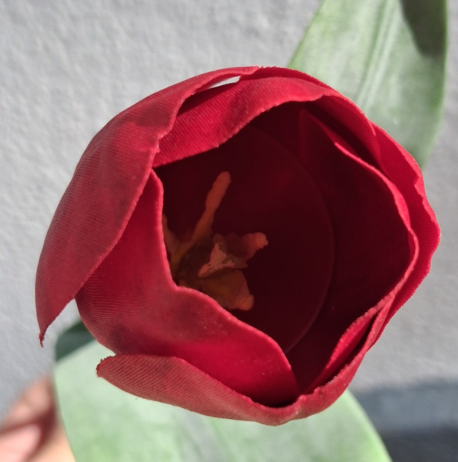 Smuk kunstig rød Tulipan