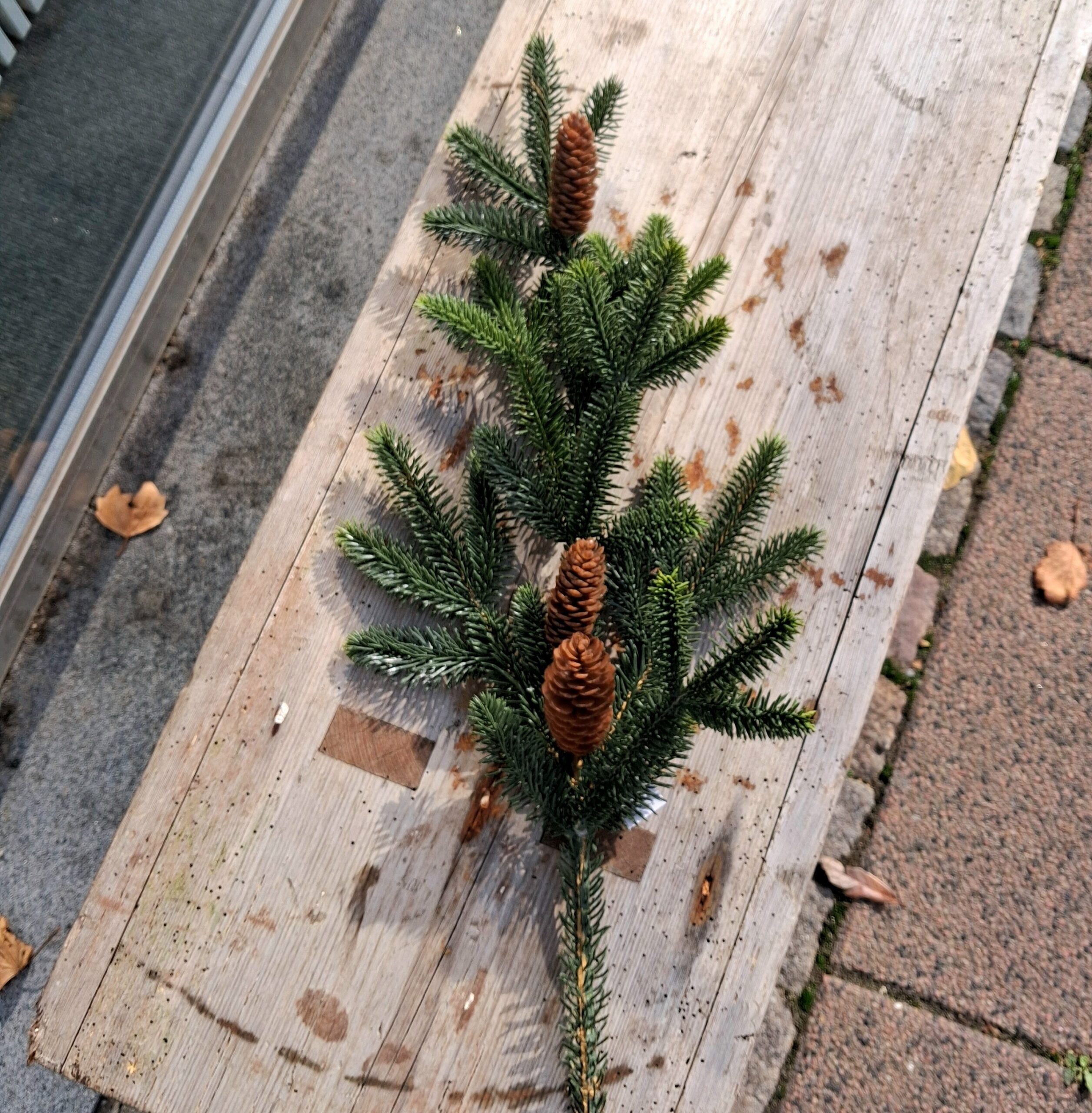 Grangren med 3 kogler - kunstig 66 cm høj