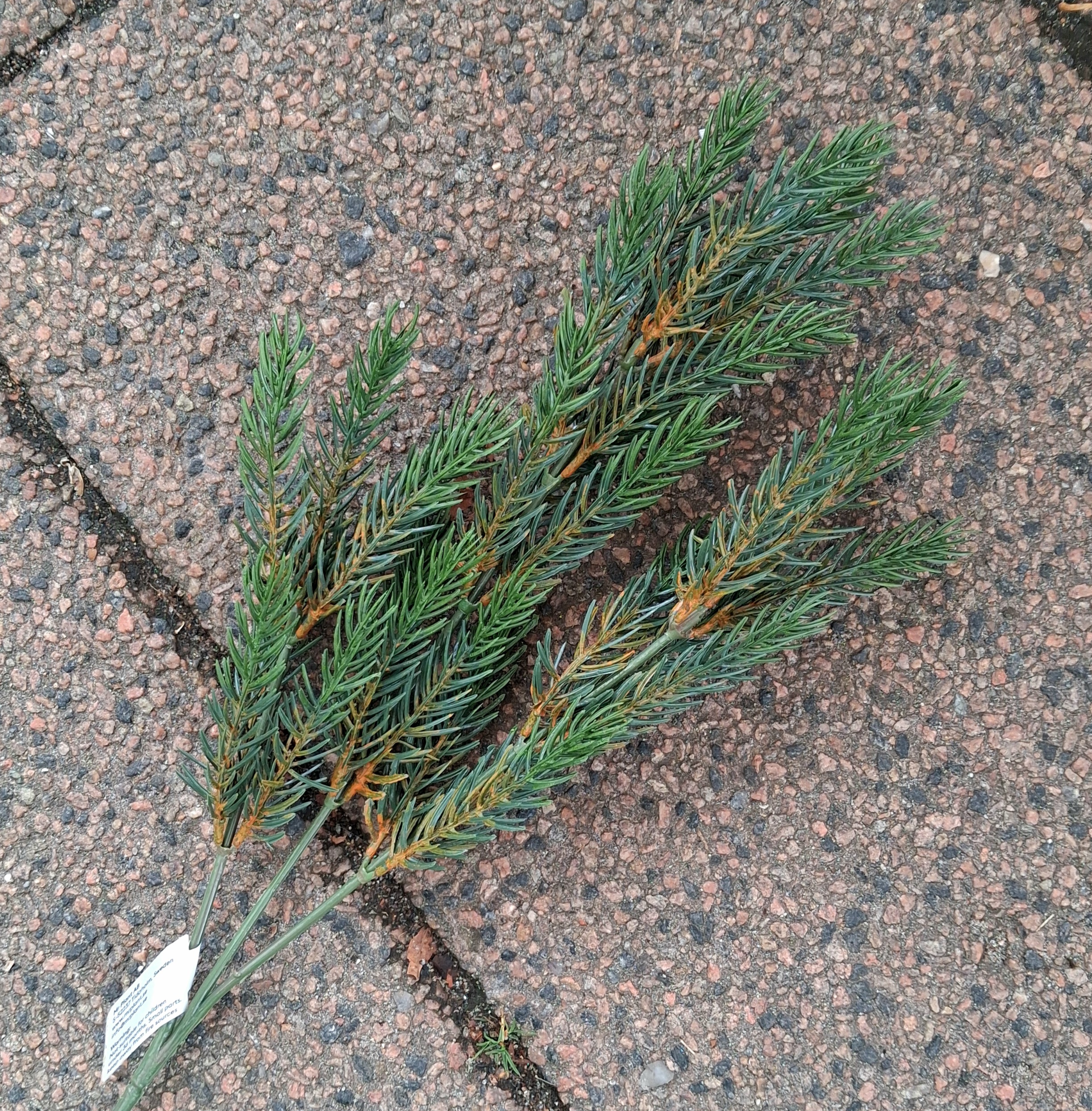 Fin kunstig grangren - flergrenet og fyldig