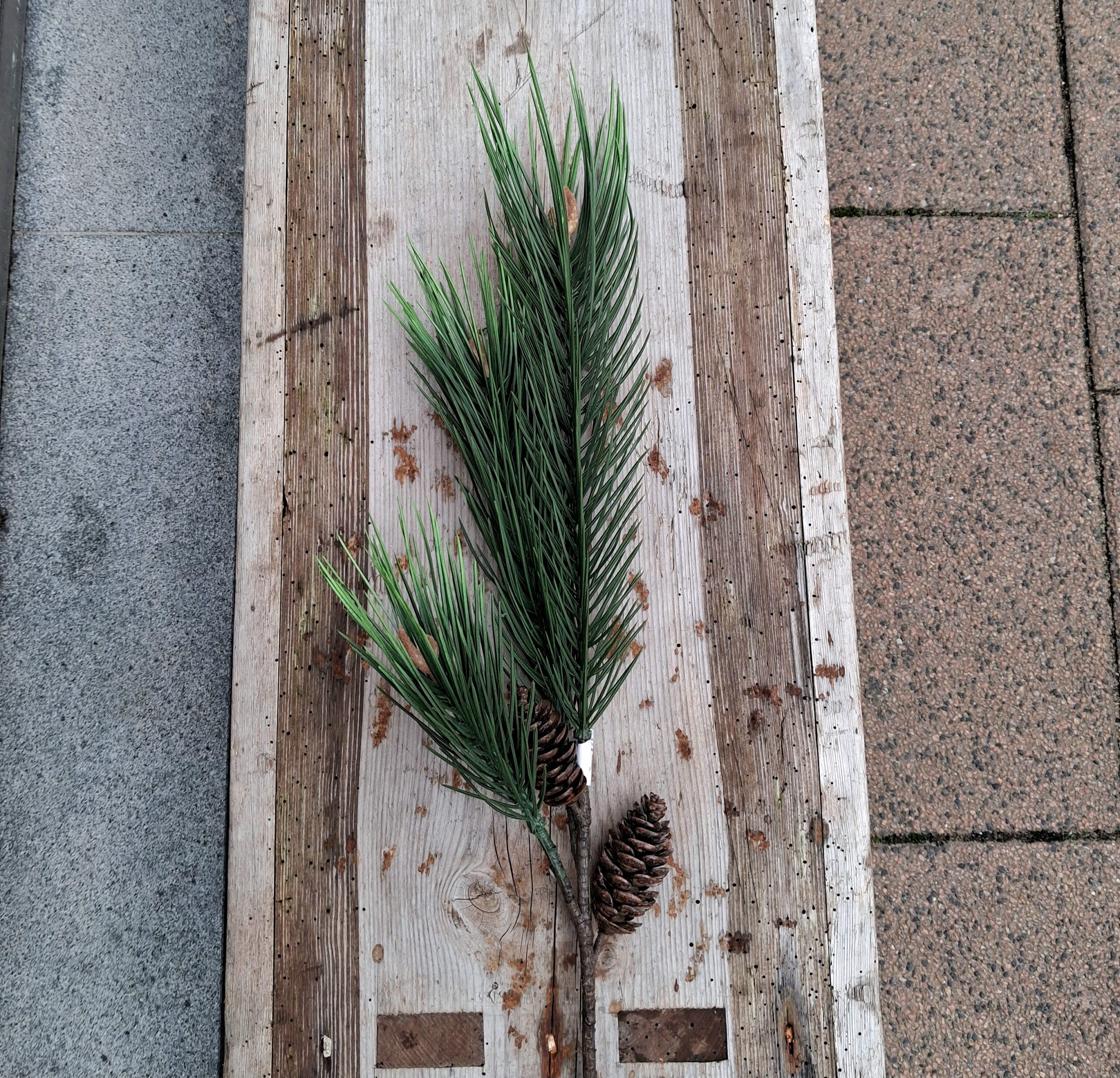 Stor kunstig fyrgren